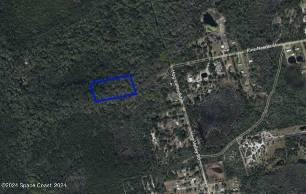 XXX UNKNOWN STREET, MIMS, FL 32754 - Image 1