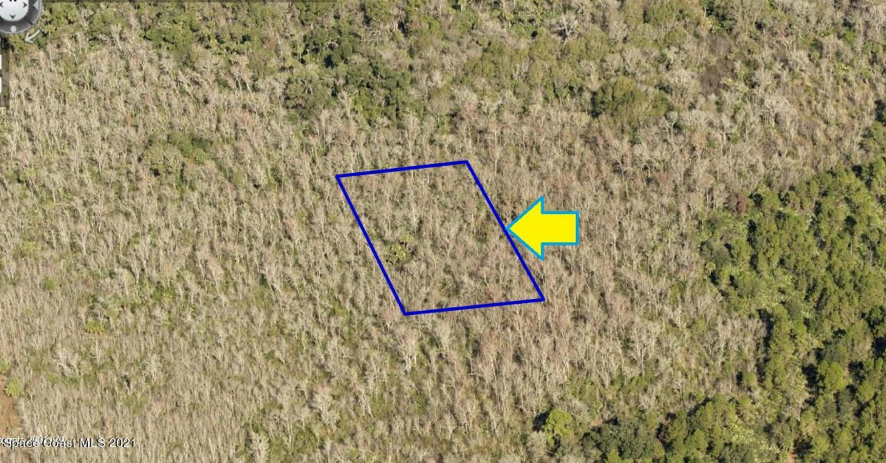 0000 NO ACCESS - LOT 4.03, MIMS, FL 32754, photo 1 of 6