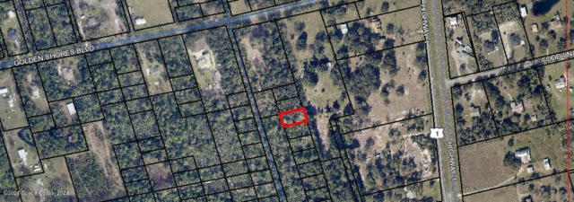 XX GOLDENSHORES BLVD, MIMS, FL 32754 - Image 1