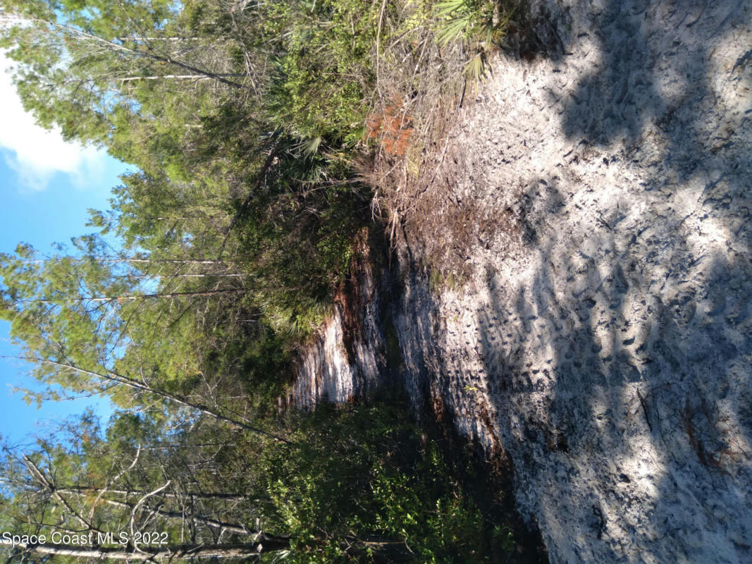 0 UNKNOWN, MIMS, FL 32754, photo 1 of 6